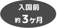 入国前約3ヶ月