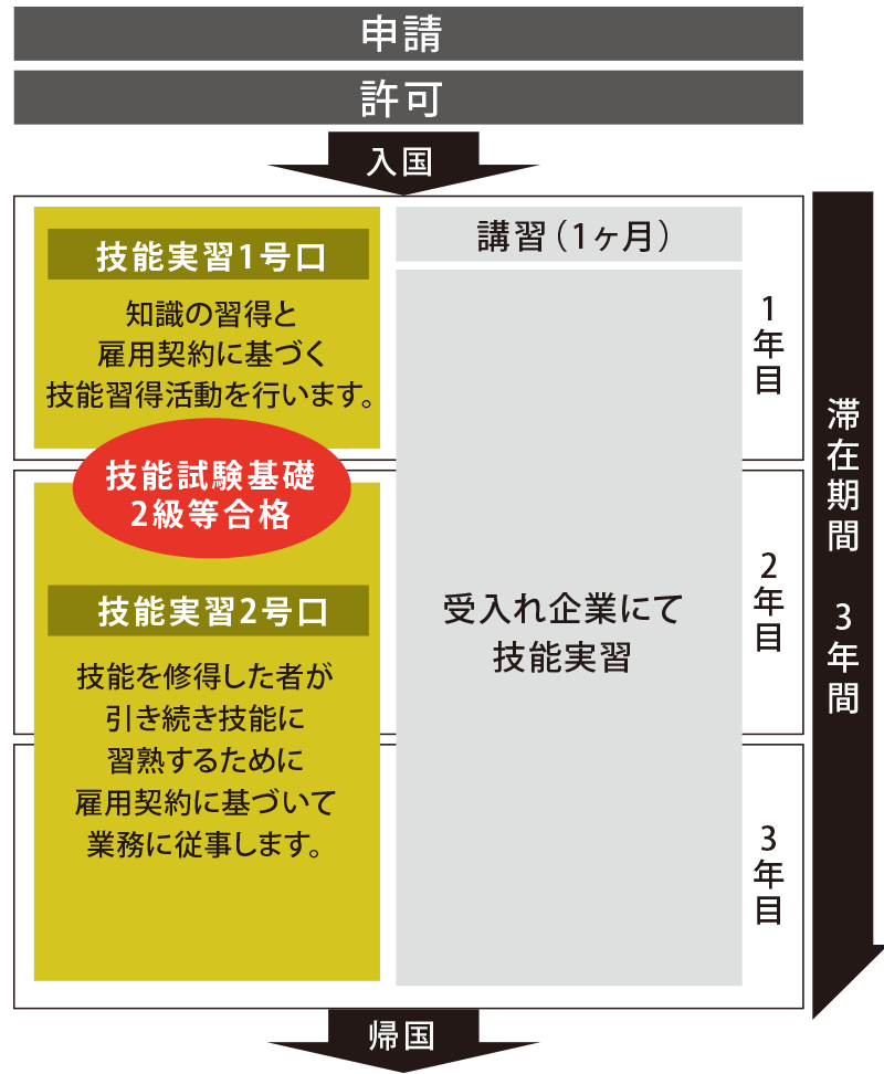 滞在期間中の技能実習制度